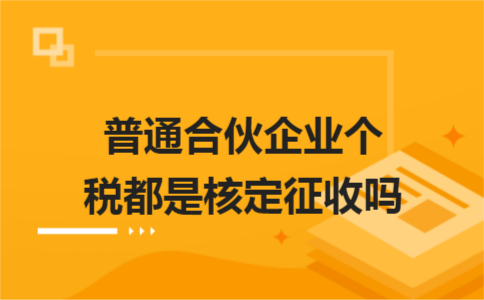 山东税务纳税筹划