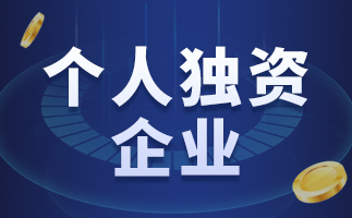 个人独资企业的税收筹划(个人独资小微企业公司章程)