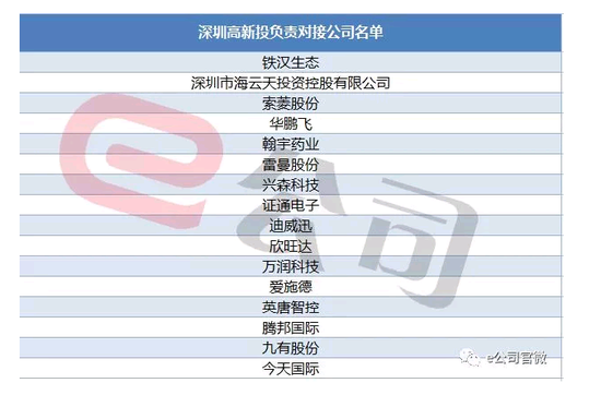 深圳上市公司(深圳上市电源公司)